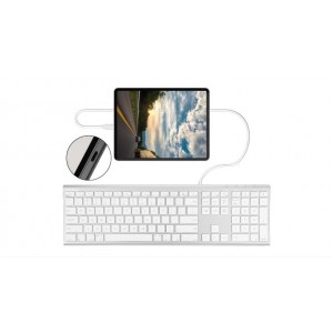 Macally Aluminum Ultra Slim USB-C Wired keyboard for Mac and PC (UCACEKEYA) Computers & Laptops, Keyboard, PC Accessories image